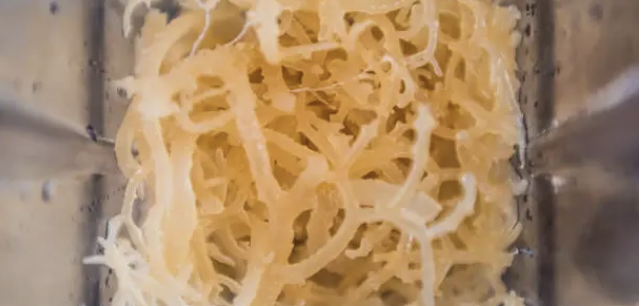 the benefits of Sea Moss - Image 